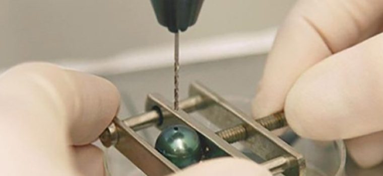 The Wonder Of Science And Pearl DNA