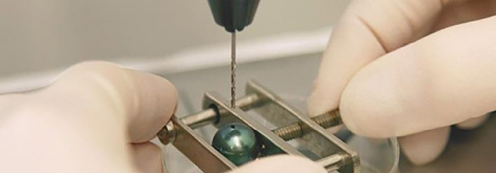 The Wonder Of Science And Pearl DNA