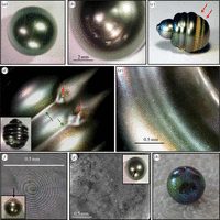 Pearl Rotation Confirmed