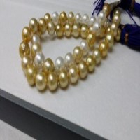 Pearlescence – Trip to Hong Kong