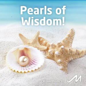 Top Cyber Security Advice for Your Business